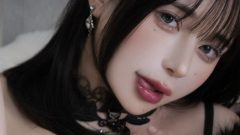 HaL(ハル)｜秘密の羽