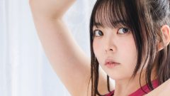 やなぎばころん｜終点のない車窓