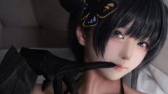 咪娅酱｜夜蝶の羽音