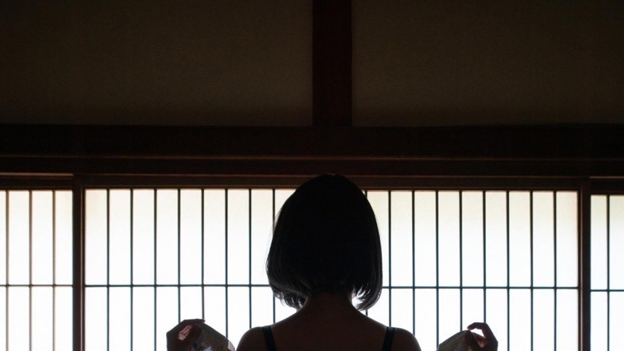 園田みく｜透ける陰影の画像1