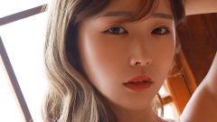 花雨｜障子前の美ライン