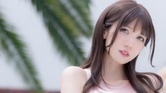 くろうさぎ｜夏の余白