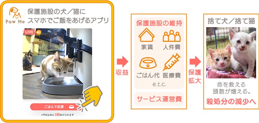 保護犬・保護猫にスマホでごはんをあげる「Paw Me」限定公開テスト開始の画像2
