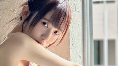 春蝶｜窓辺のレース