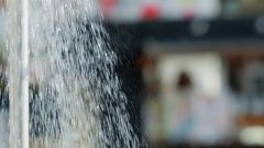小松花恋｜水しぶきの向こうに、振り返る夏がいた