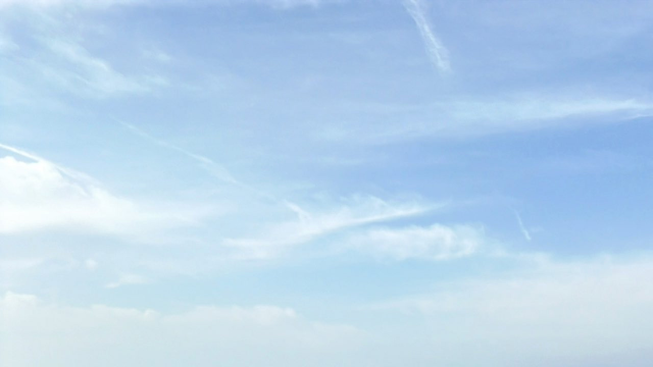 新海まき｜砂の上の小さな豹の画像1