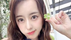 みなぽち｜四つ葉の国の、青い秘密