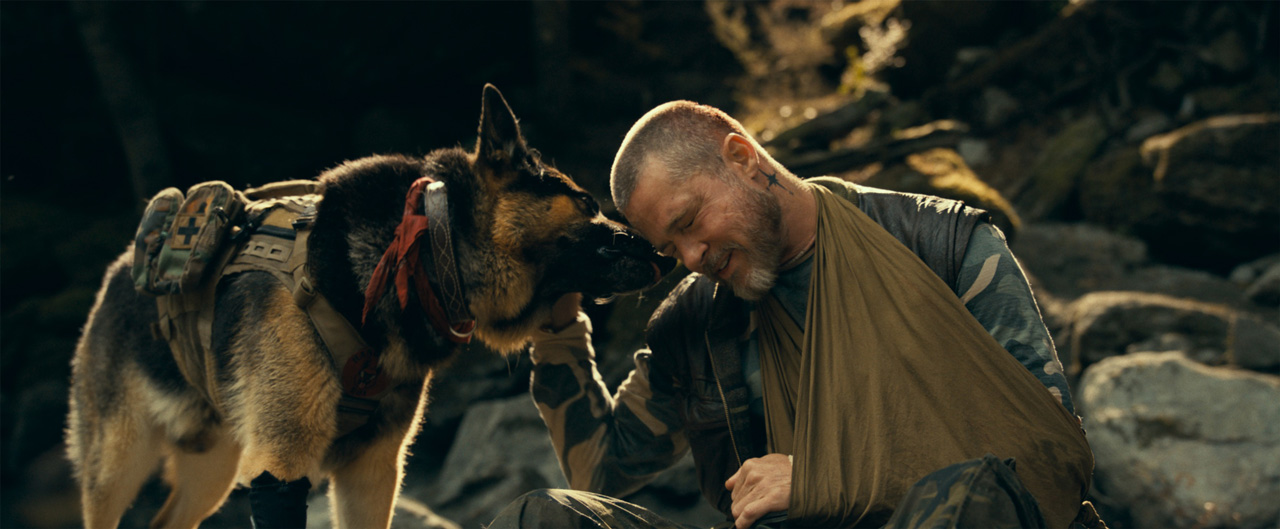 ブラピ＆ワンコの絆に涙――退役軍人と元軍用犬のサバイバル『ハート・オブ・ビースト』　タイトルに込められた“複数の意味”の画像5
